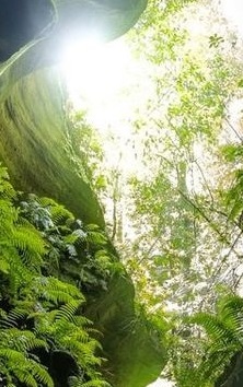 4. Túlélő a patakban